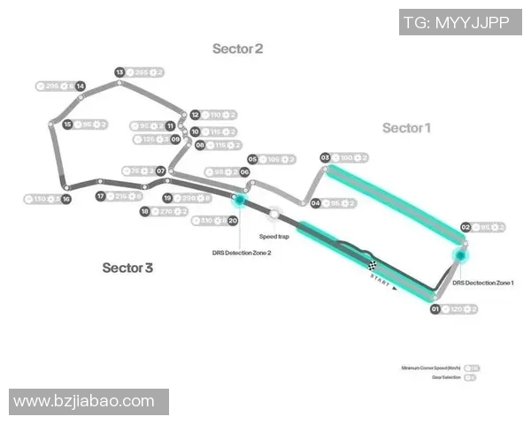 F1赛道设计对车队比赛策略的影响
