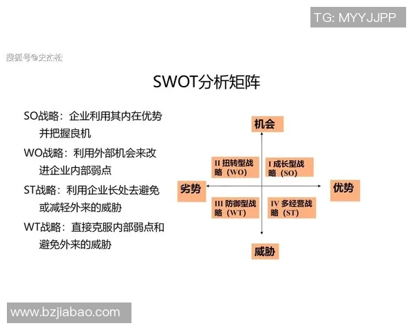 体育品牌营销案例分析与启示助力企业竞争优势塑造路径研究